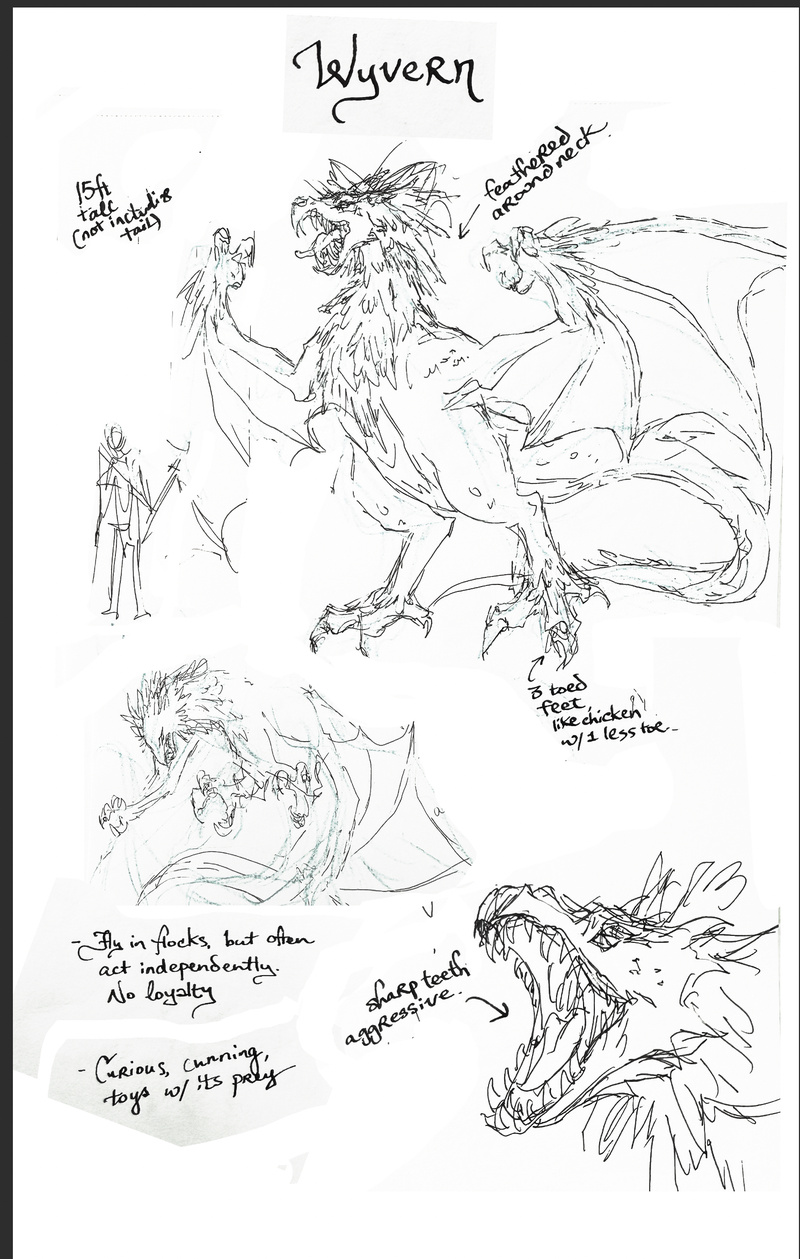 Wyvern - WIP sketch