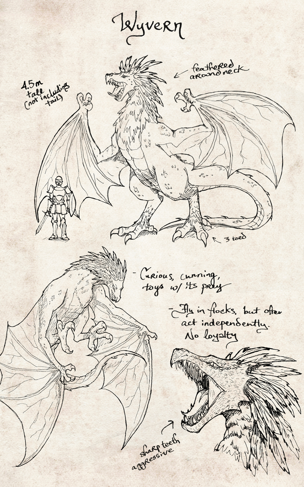 Wyvern