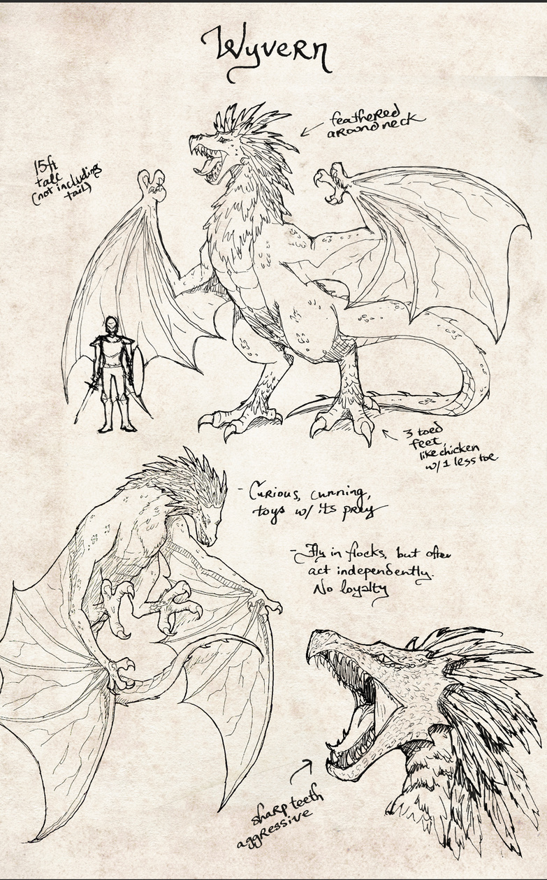 Wyvern - WIP sketch